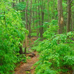 Hiking Wawayanda State Park, 2009 - 07/29/2013