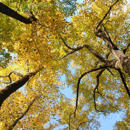 Sourland Mountain Preserve