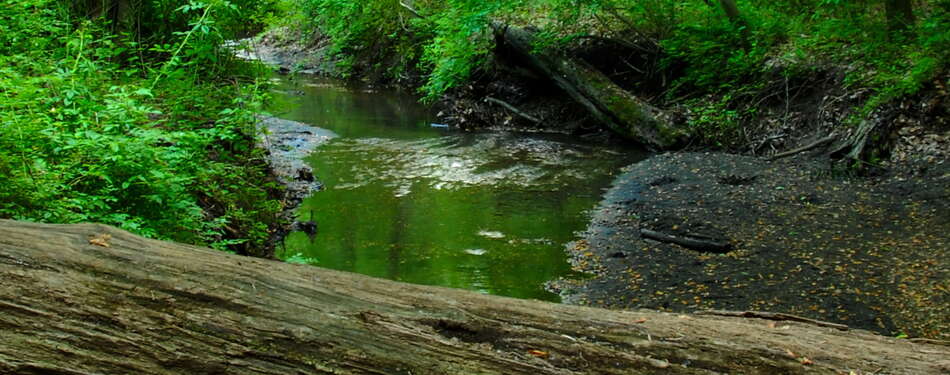 Are you Instagram? Say Hello :)