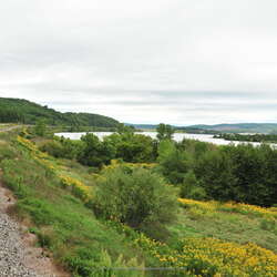Tioga Central Railroad [closed]