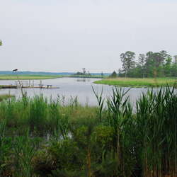 Photos Of: Estell Manor Park - The rivers - 06/26/2009