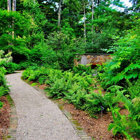 Frelinghuysen Arboretum