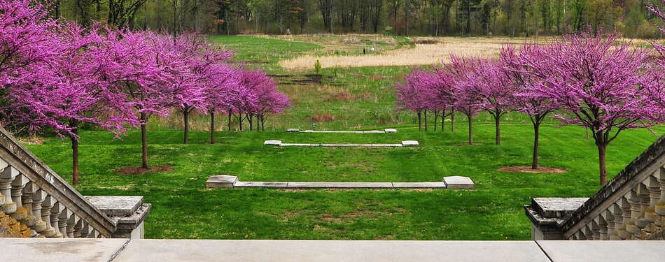 Photos of the week! May 12