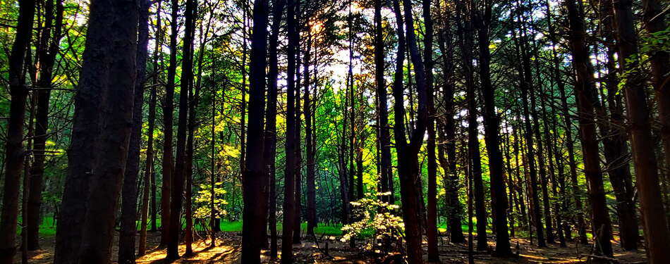 ExploringAllaire.com - A new Side Project