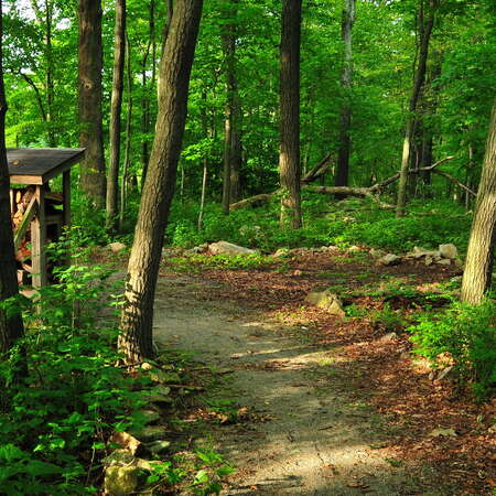 Teetertown Camping Area