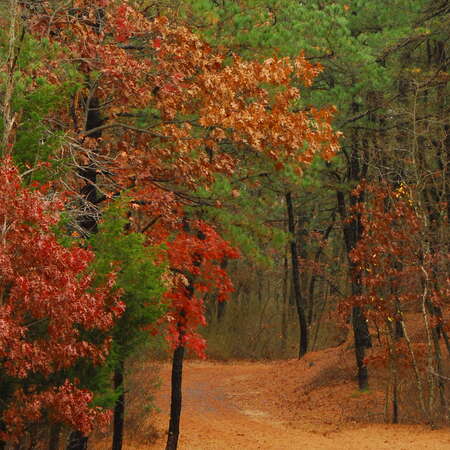Winding River Park