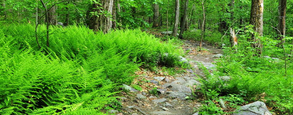 Photos of the week! May 26