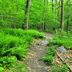 Photos of the week! May 26