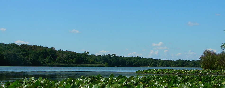 NJ State Parks and Many County Parks Reopen!