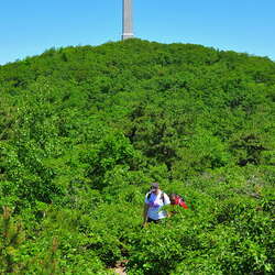 Photos Of: High Point State Park - Trails - 09/05/2012